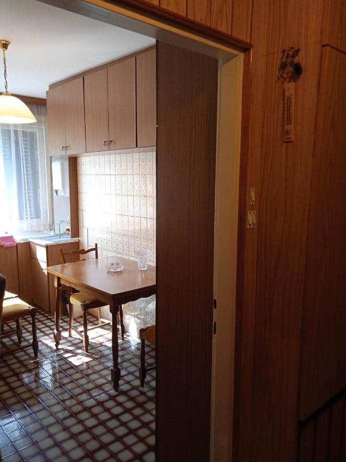 Apartment Obilic 1